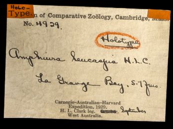 Media type: image;   Invertebrate Zoology OPH-4929 Description: Photo of labels found with specimen.;  Aspect: labels